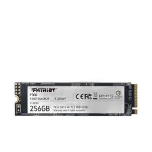Patriot P300 256 Go